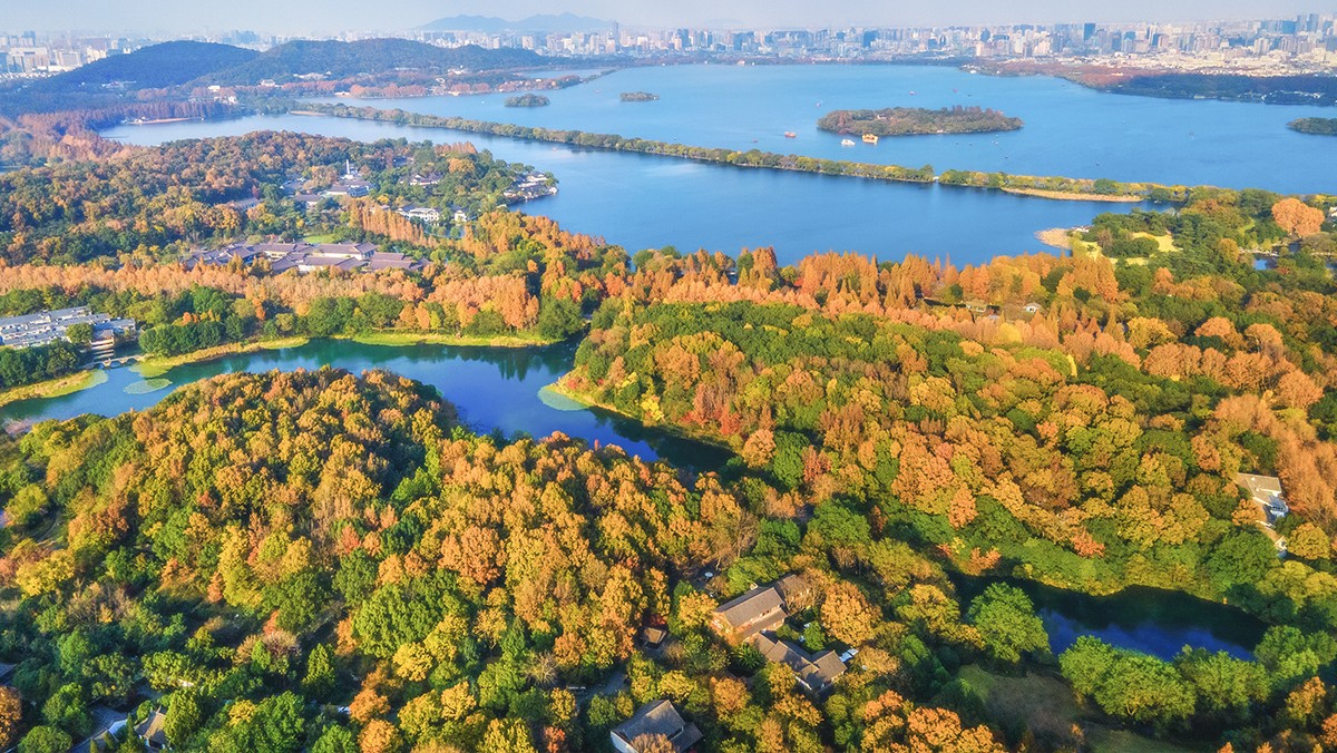 设计集团